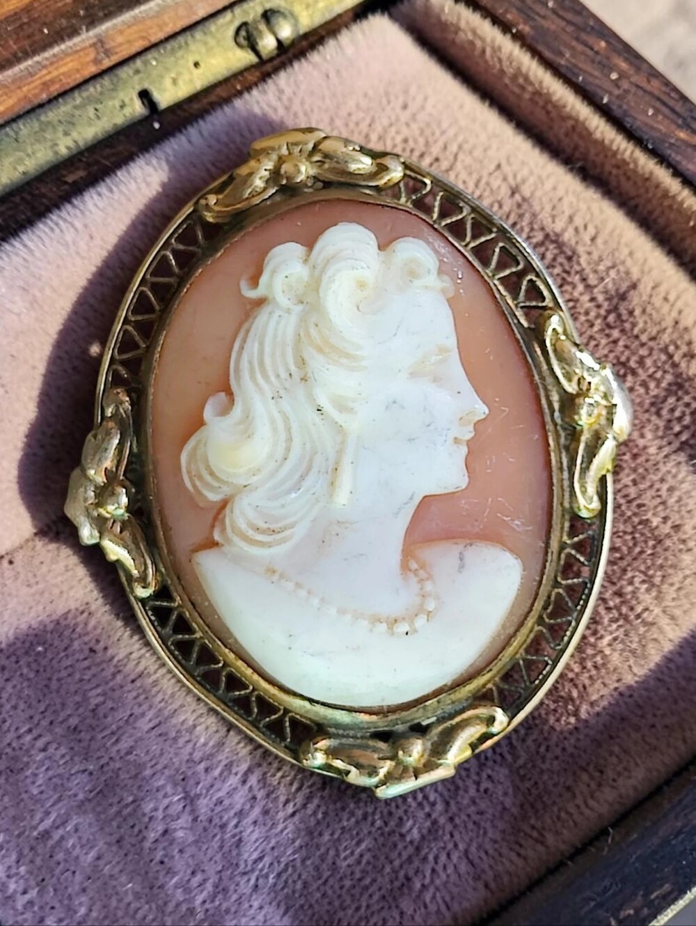 Antique Gold Filled Genuine Shell Cameo Pendant/Brooch